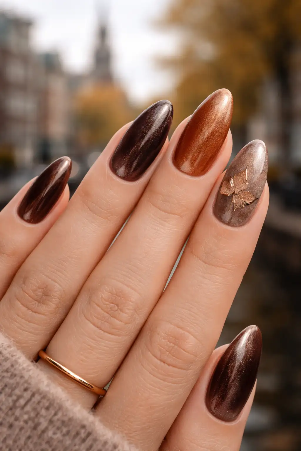 Dutch Autumn Velvet